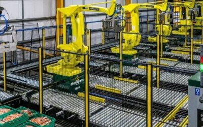 New Production Line Integration