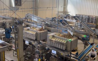 Full End-of-Line Automation Facility